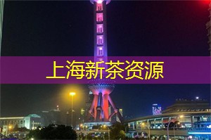 上海的水上沙滩运动的魅力