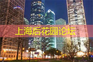 在星空庇护下领略上海夜色